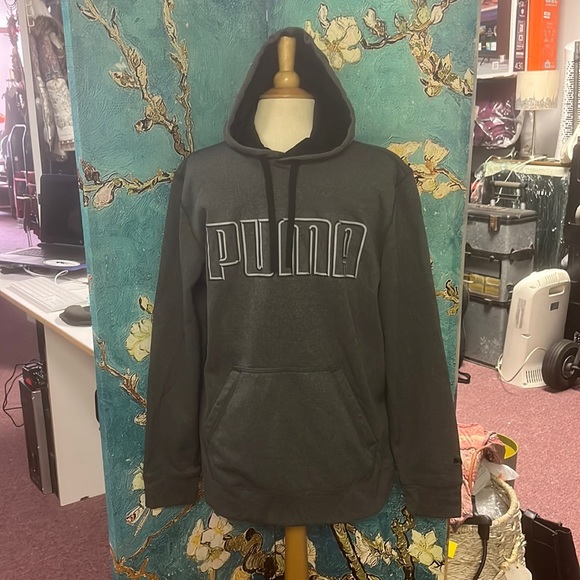 Puma Hoodie Gray Size M - Picture 1 of 10